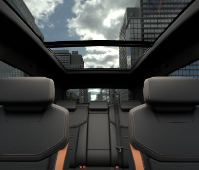 An open view above